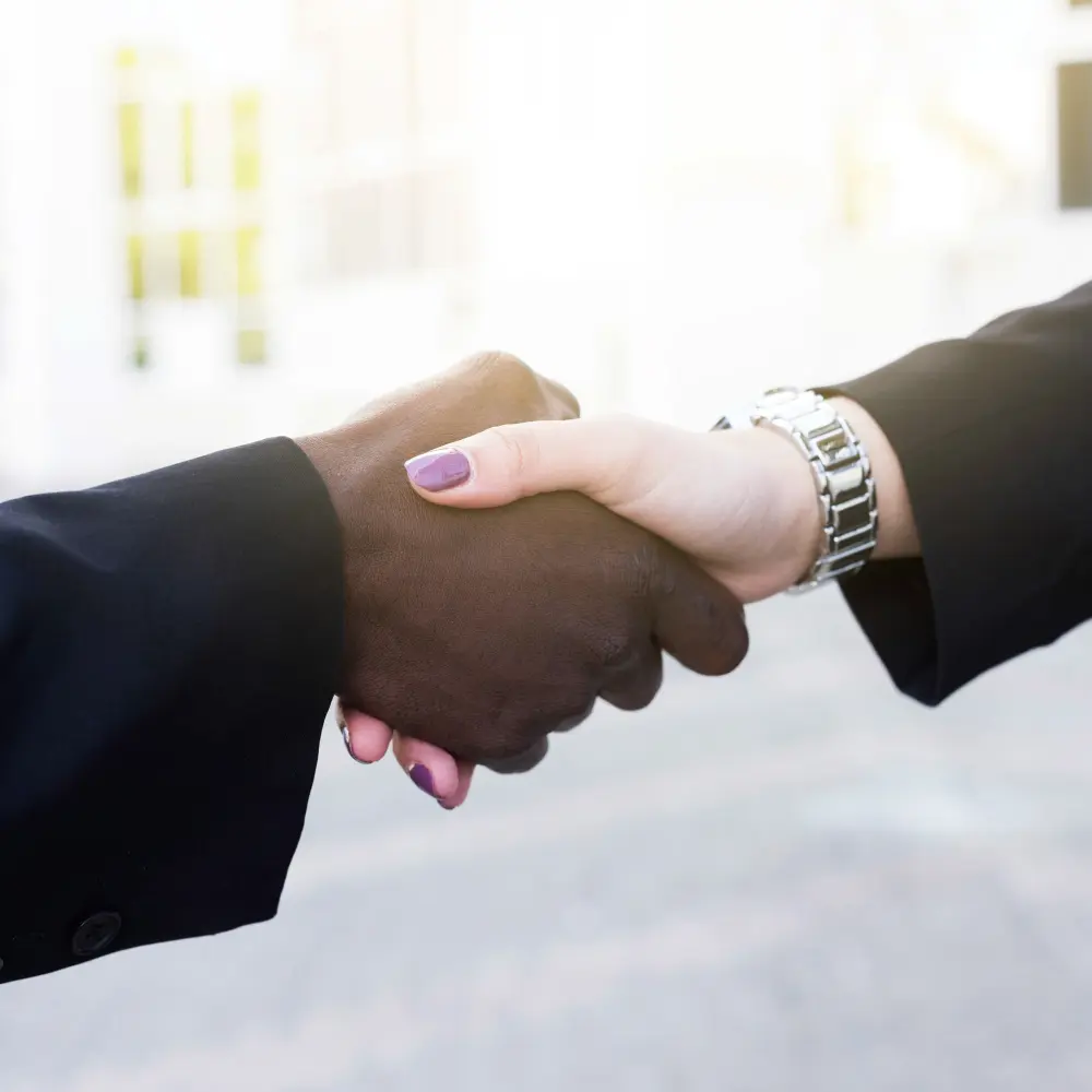 Partnership Formation